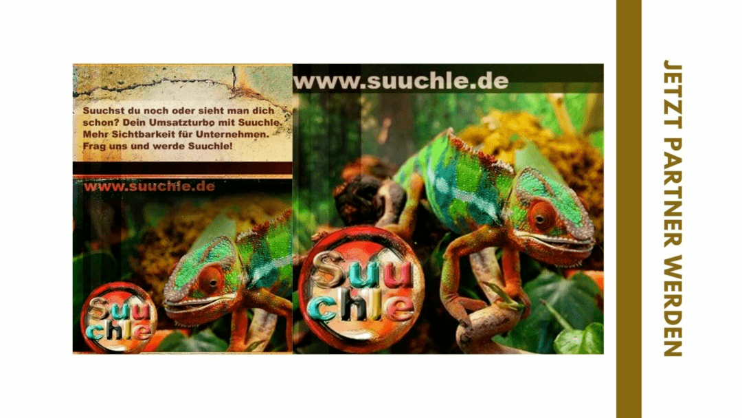 Suuchle Partner gesucht